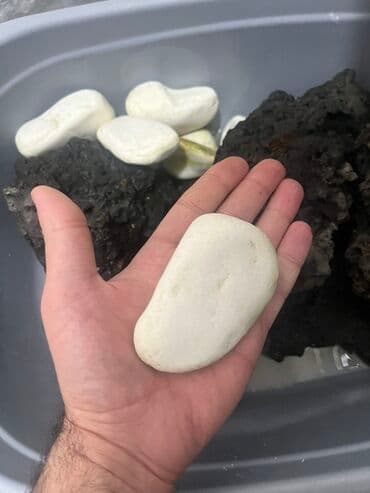 Декоративные панели для стен: Ağ dekorativ çınqıl/çay daşları dəsti - Rəng: ağ, bəzilərində təbii at lalafo.az — 3 Декоративные панели для стен: Ağ dekorativ çınqıl/çay daşları dəsti - Rəng: ağ, bəzilərində təbii — 3