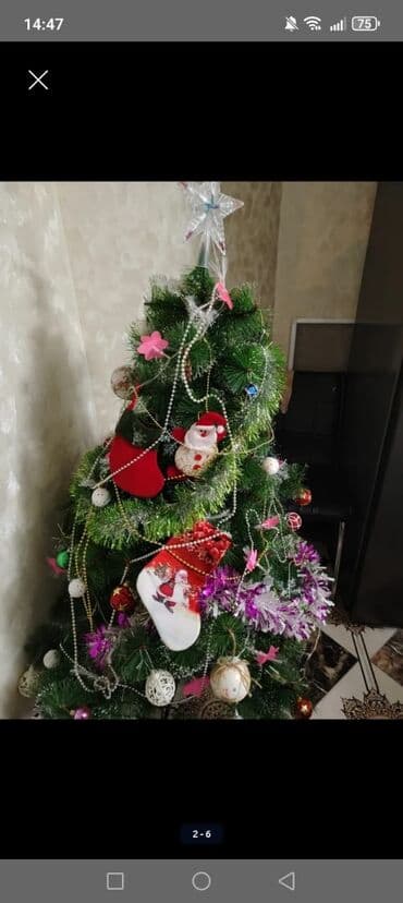 20 manata yolka satılır tecili heç bir problemi yoxdu 1.50 di boyu lalafo.az -da 20 manata yolka satılır tecili heç bir problemi yoxdu 1.50 di boyu