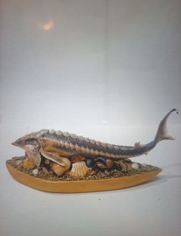 Fiqur lalafo.az -da Fiqur