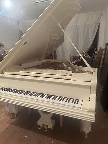 Royal lalafo.az -da Royal