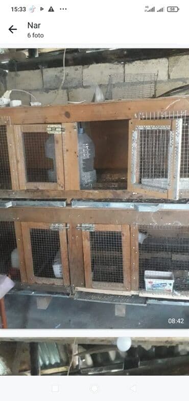 4 gözlü qəfəs satılır.Cucə bildirçin dovşan saxlamaq üçün əla lalafo.az -da 4 gözlü qəfəs satılır.Cucə bildirçin dovşan saxlamaq üçün əla