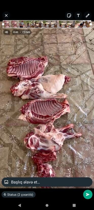 Kənd təsərrüfatı: Kababçı. Restoran Ailəvi Məkan Otel Şadlıq sarayı və. bağlarda həyət lalafo.az -da — 10 Kənd təsərrüfatı: Kababçı. Restoran Ailəvi Məkan Otel Şadlıq sarayı və. bağlarda həyət — 10