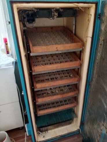 Экстракторы масла: 300 яиц, Для всех видов птиц at lalafo.az — 2 Экстракторы масла: 300 яиц, Для всех видов птиц — 2