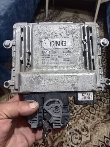 Asamant beyni ideal tax xodda sur lalafo.az -da Asamant beyni ideal tax xodda sur