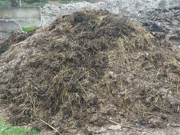 Quru peyinin lafeti 65 manat yaş peyinin lafeti40 manat Bu nömrə ilə lalafo.az -da Quru peyinin lafeti 65 manat yaş peyinin lafeti40 manat Bu nömrə ilə