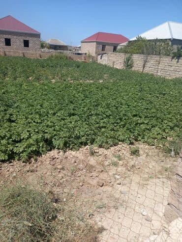 7 sot, Tikinti, Mülkiyyətçi, Bələdiyyə lalafo.az -da 7 sot, Tikinti, Mülkiyyətçi, Bələdiyyə