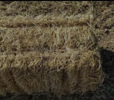 90-95 sm yonca presi Şəki Qax Oğuz ərazisinə çatdırılma və boşaltma lalafo.az -da 90-95 sm yonca presi Şəki Qax Oğuz ərazisinə çatdırılma və boşaltma