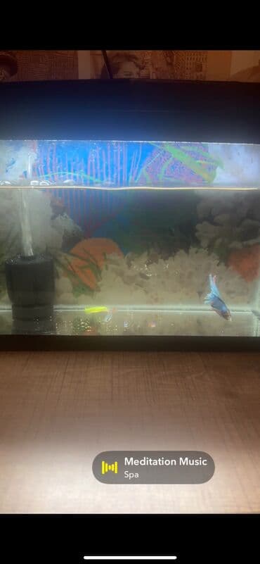 2-3 hefte işlenib,işiqi var,istesez usteki qapagi cixardirsiniz.10-15 lalafo.az -da 2-3 hefte işlenib,işiqi var,istesez usteki qapagi cixardirsiniz.10-15