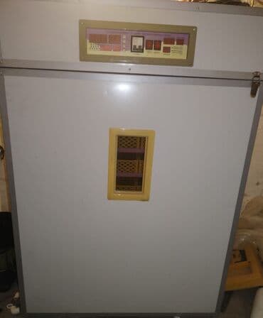 Экстракторы масла: 1056 yumurta tutumu var 5 rejimi var qaz ördək bildirincin hinduska at lalafo.az — 1 Экстракторы масла: 1056 yumurta tutumu var 5 rejimi var qaz ördək bildirincin hinduska — 1