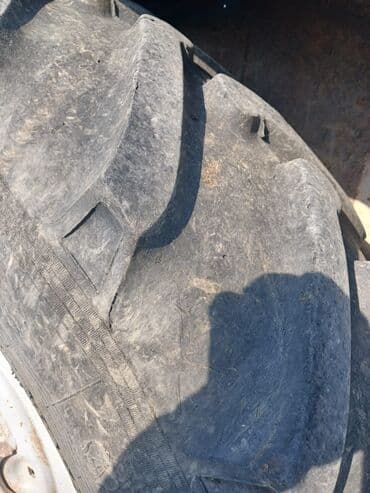 Disk təkər Belarus (MTZ) >385 / >80 / R >34, 8 Boltlu lalafo.az -da Disk təkər Belarus (MTZ) >385 / >80 / R >34, 8 Boltlu