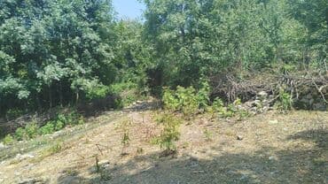 Tikinti, Mülkiyyətçi, Kupça (Çıxarış) lalafo.az -da Tikinti, Mülkiyyətçi, Kupça (Çıxarış)