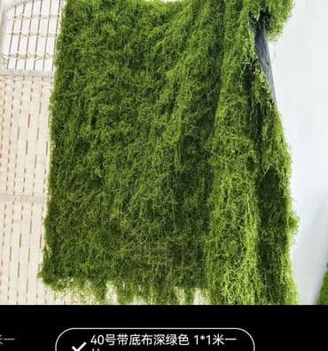 Bitki dərmanları: Məhsul: Təbiətvi̇ zolaqlı yosun/mahov örtüyü – hazır plitələr Təsvir lalafo.az -da — 6 Bitki dərmanları: Məhsul: Təbiətvi̇ zolaqlı yosun/mahov örtüyü – hazır plitələr Təsvir — 6