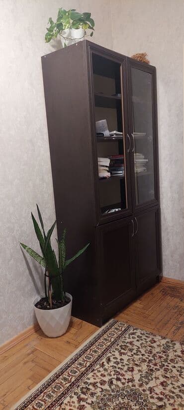 Qapalı dolab vitrini, İşlənmiş lalafo.az -da Qapalı dolab vitrini, İşlənmiş