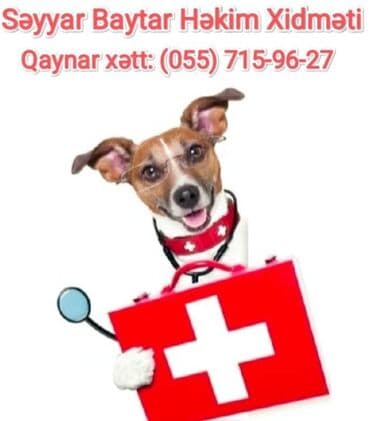 Zoo həkim xidməti Tibb-baytarlıq xidmətləri Bakı şəhəri uzre unvanlara lalafo.az -da Zoo həkim xidməti Tibb-baytarlıq xidmətləri Bakı şəhəri uzre unvanlara
