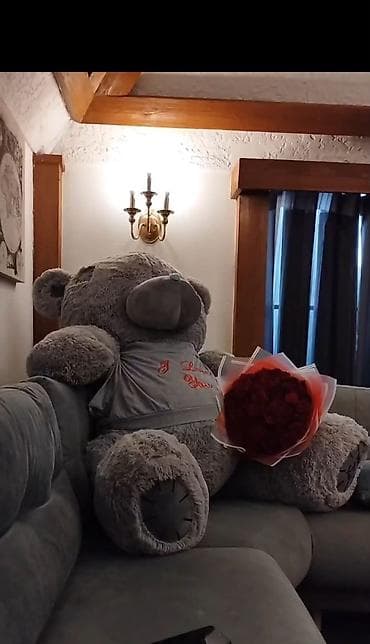 NikaBoyuk miska satilir Koc sebebinen tecili satılır 100 azn Alınıb lalafo.az -da NikaBoyuk miska satilir Koc sebebinen tecili satılır 100 azn Alınıb