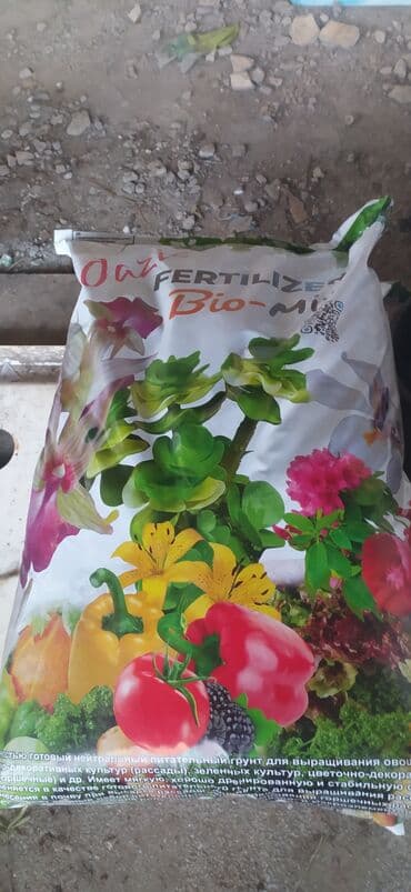 Yeni, Divan lalafo.az -da Yeni, Divan