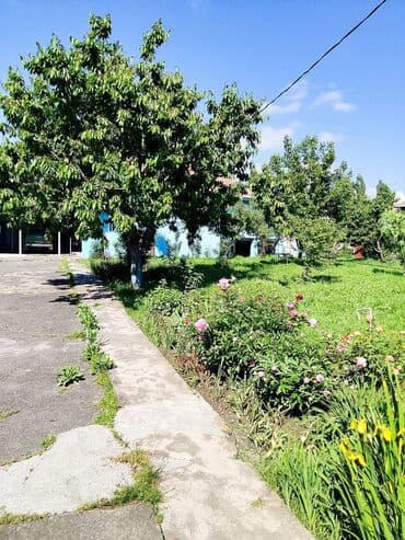 5 otaqlı, 24 kv. m, Kredit yoxdur, Orta təmir lalafo.az -da — 26 5 otaqlı, 24 kv. m, Kredit yoxdur, Orta təmir — 26