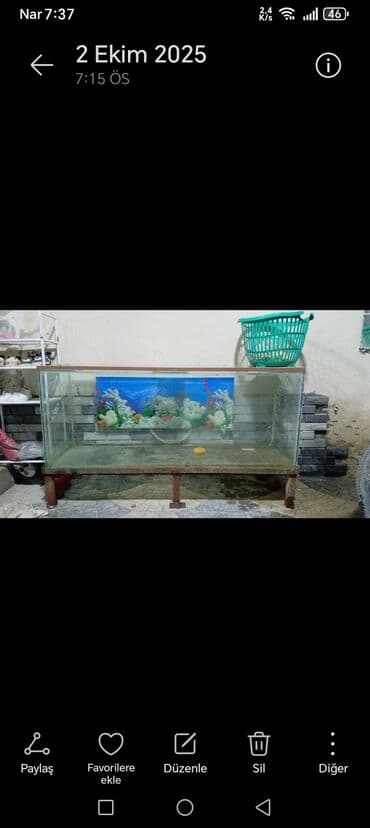 Dördbucaq akvarium, Boş, 375 l lalafo.az -da Dördbucaq akvarium, Boş, 375 l