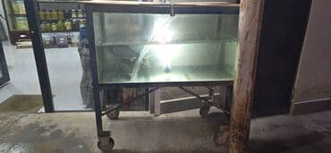 Baliq satişi üçün akvarium. Qalin şverler və almaturdan düzəlib lalafo.az -da Baliq satişi üçün akvarium. Qalin şverler və almaturdan düzəlib