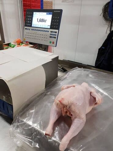 Рыба и морепродукты: Toyug BroylerKend ToyuguToyug Mehsullari Belarusiyadan,Ukraynadan at lalafo.az — 2 Рыба и морепродукты: Toyug BroylerKend ToyuguToyug Mehsullari Belarusiyadan,Ukraynadan — 2