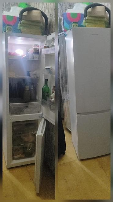 Soyducu 6aydi 1600azn alinib tezedi tecili satilir baha alinib koc at lalafo.az Soyducu 6aydi 1600azn alinib tezedi tecili satilir baha alinib koc