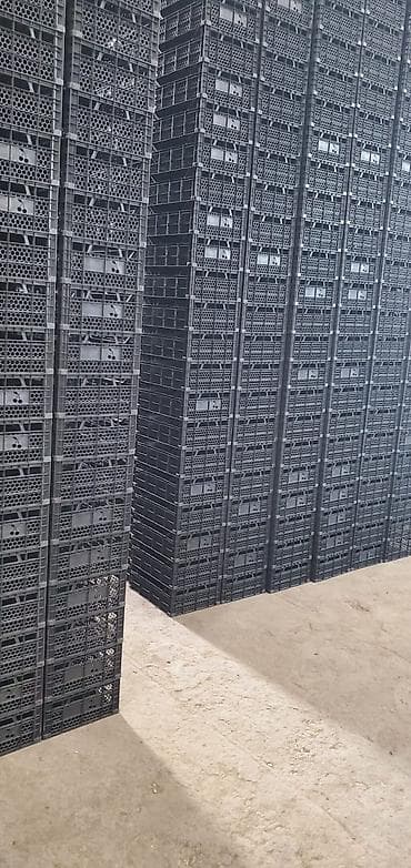 Plastik havalandırma dəlikli tara/qutular - Material: möhkəm plastik lalafo.az -da Plastik havalandırma dəlikli tara/qutular - Material: möhkəm plastik
