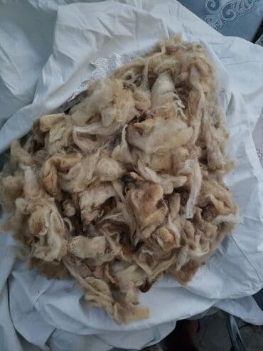 30kq merinos yunu temiz yuyulub cirpilib yeke yundu yorgana lalafo.az -da 30kq merinos yunu temiz yuyulub cirpilib yeke yundu yorgana