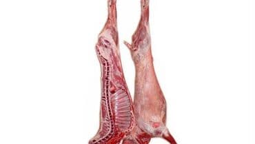 Quzu əti. 9-13 kg. Monqolustan/ Halal. 14 manat-1 kg. Votsapa yazın lalafo.az -da Quzu əti. 9-13 kg. Monqolustan/ Halal. 14 manat-1 kg. Votsapa yazın