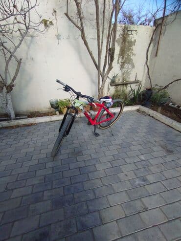 İşlənmiş Şəhər velosipedi 29", sürətlərin sayı: 7, Ünvandan götürmə, Ödənişli çatdırılma lalafo.az -da İşlənmiş Şəhər velosipedi 29", sürətlərin sayı: 7, Ünvandan götürmə, Ödənişli çatdırılma