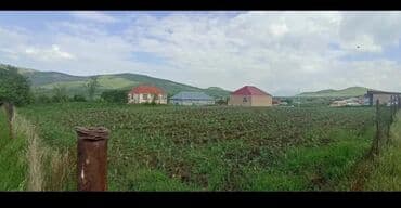 12 sot, Tikinti, Mülkiyyətçi, Kupça (Çıxarış) lalafo.az -da 12 sot, Tikinti, Mülkiyyətçi, Kupça (Çıxarış)