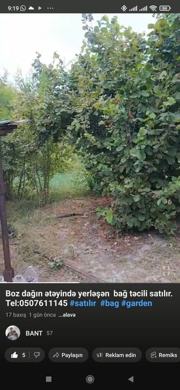 Kənd təsərrüfatı lalafo.az -da — 1 Kənd təsərrüfatı — 1