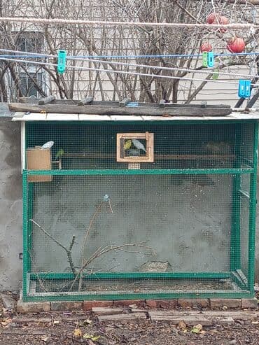 Açıq hava üçün böyük quş volyeri - Material: möhkəm metal karkas lalafo.az -da Açıq hava üçün böyük quş volyeri - Material: möhkəm metal karkas