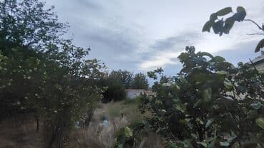 6 sot, Kənd təsərrüfatı, Barter mümkündür, Kupça (Çıxarış) lalafo.az -da 6 sot, Kənd təsərrüfatı, Barter mümkündür, Kupça (Çıxarış)