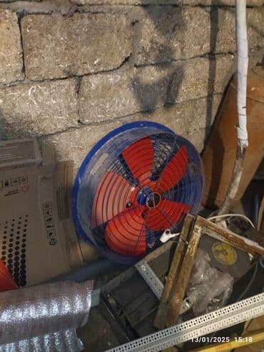 Tövleler de isdifade olunan fanlardandır Tep tezedir istifade lalafo.az -da Tövleler de isdifade olunan fanlardandır Tep tezedir istifade