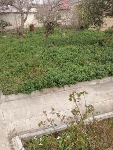 Tikiş: Bağban, 44 yaş, 5 ildən artıq təcrübə lalafo.az -da — 5 Tikiş: Bağban, 44 yaş, 5 ildən artıq təcrübə — 5