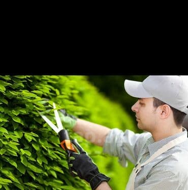 Ağacların budanmasi dermanlanmasi dizinfeksiya işlərin görürəm kimə lalafo.az -da Ağacların budanmasi dermanlanmasi dizinfeksiya işlərin görürəm kimə