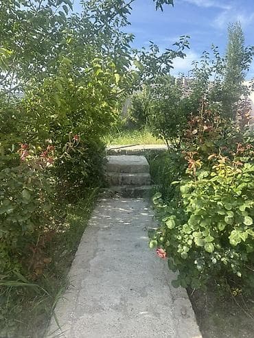 Bağ evi tarqovu ramana deyilən yerde düz yol kenarı 204 un lalafo.az -da Bağ evi tarqovu ramana deyilən yerde düz yol kenarı 204 un