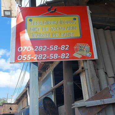 Поддоны: Lesa,dirək,cilovuz,dik və taxtaların icarəsi və satışı at lalafo.az — 3 Поддоны: Lesa,dirək,cilovuz,dik və taxtaların icarəsi və satışı — 3