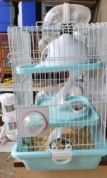 Siçan/hemster üçün çoxmərtəbəli qəfəs - Material: metal barmaqlıq və lalafo.az -da Siçan/hemster üçün çoxmərtəbəli qəfəs - Material: metal barmaqlıq və