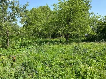 10 sot, Mülkiyyətçi, Kupça (Çıxarış) lalafo.az -da 10 sot, Mülkiyyətçi, Kupça (Çıxarış)