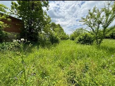 22 sot, Mülkiyyətçi, Kupça (Çıxarış) lalafo.az -da 22 sot, Mülkiyyətçi, Kupça (Çıxarış)