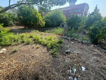 4 sot, Mülkiyyətçi, Kupça (Çıxarış) lalafo.az -da 4 sot, Mülkiyyətçi, Kupça (Çıxarış)