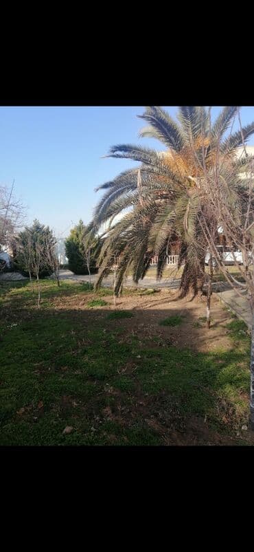 Gözəllik Salonları: Bağban, 44 yaş, 5 ildən artıq təcrübə lalafo.az -da — 5 Gözəllik Salonları: Bağban, 44 yaş, 5 ildən artıq təcrübə — 5