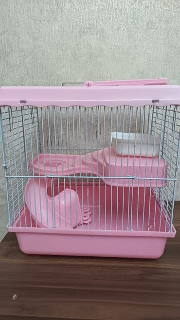 Quş qefesı yem ve su qabı ıle bır yerde
Profıle vurun lalafo.az -da Quş qefesı yem ve su qabı ıle bır yerde
Profıle vurun