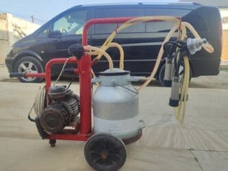 ПО для бизнеса: Одиночный бидон, Нержавеющий бидон at lalafo.az — 1 ПО для бизнеса: Одиночный бидон, Нержавеющий бидон — 1