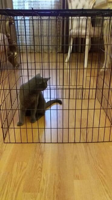 Heyvanlar üçün qəfəs lalafo.az -da Heyvanlar üçün qəfəs