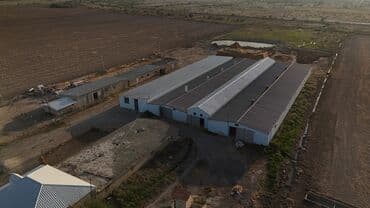 Tam infrastrukturla təmin edilmiş kənd təsərrüfatı kompleksi – iri lalafo.az -da Tam infrastrukturla təmin edilmiş kənd təsərrüfatı kompleksi – iri