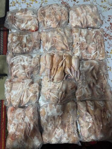 Ləpələr: Məhsul: Təmizlənmiş və qablaşdırılmış bıldırcın Təsvir: - Tam lalafo.az -da — 3 Ləpələr: Məhsul: Təmizlənmiş və qablaşdırılmış bıldırcın Təsvir: - Tam — 3