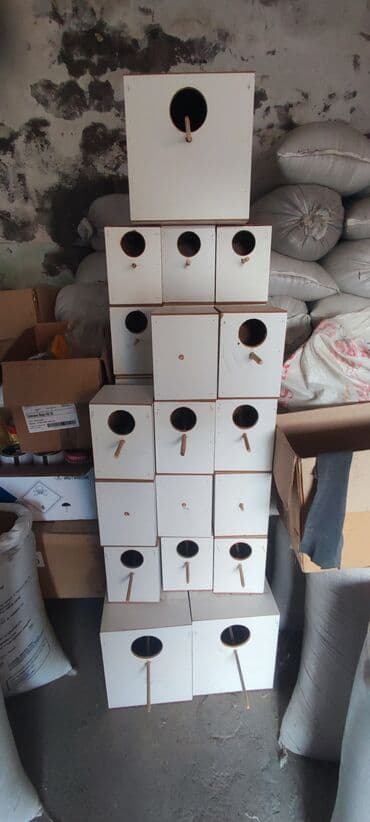 Papuqay və Korella üçün Yumurtaması üçün quş yuvaları lalafo.az -da Papuqay və Korella üçün Yumurtaması üçün quş yuvaları