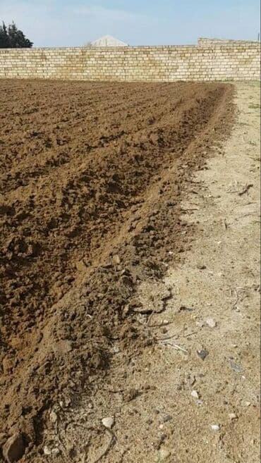 24 sot, Mülkiyyətçi, Bələdiyyə lalafo.az -da 24 sot, Mülkiyyətçi, Bələdiyyə